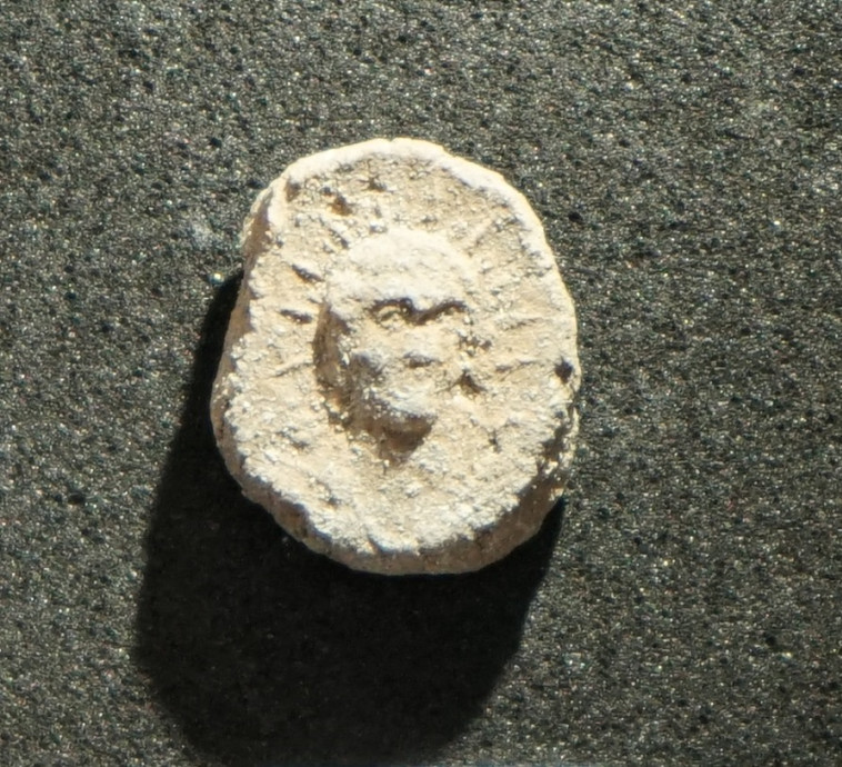 הבולות שנמצאו. צילום: אסף שטרן 