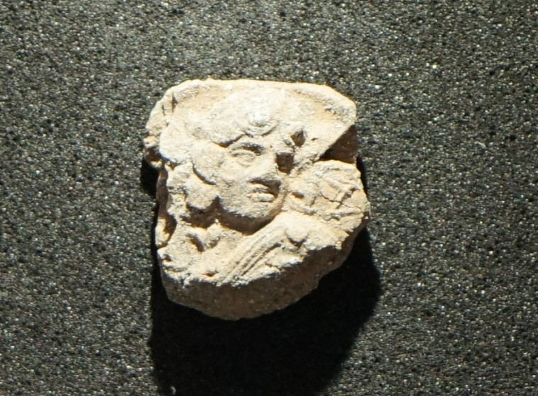 הבולות שנמצאו. צילום: אסף שטרן 