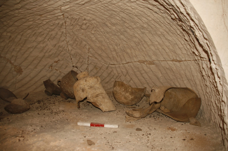 המערה בה נמצאו הבולות. צילום: אסף שטרן