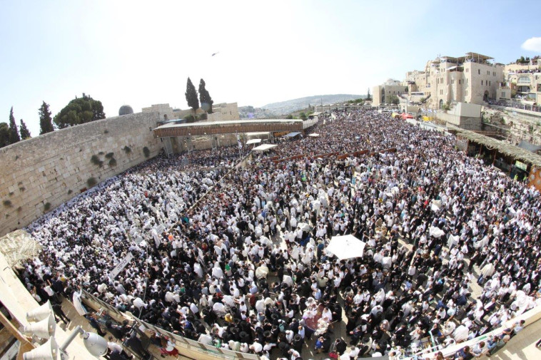  סוכות בכותל המערבי. צילום: הקרן למורשת הכותל