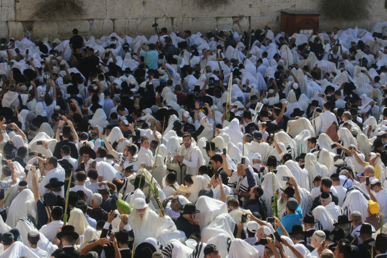 צילום: מרק ישראל סלם