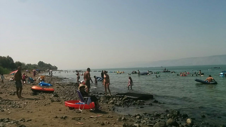 רוחצים בכנרת. צילום: רשות הכנרת