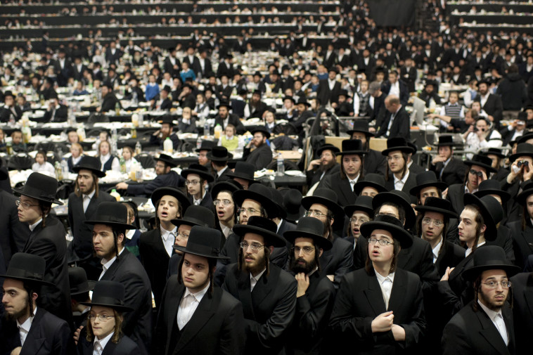 חסידי סטאמר