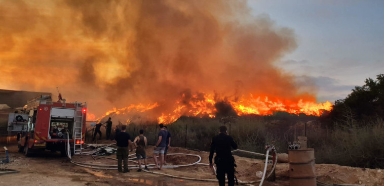 שריפה בעין הבשור. צילום: תמרה כהן