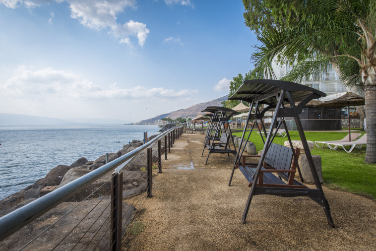 על שפת הכנרת. צילום: שרון בראון