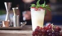 Mix Kaplan Summer Mixolog, אלכוהול