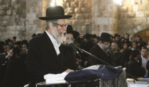 הרב אליעזר ברלנד