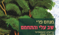 שב עלי והתחמם - מנחם פרי