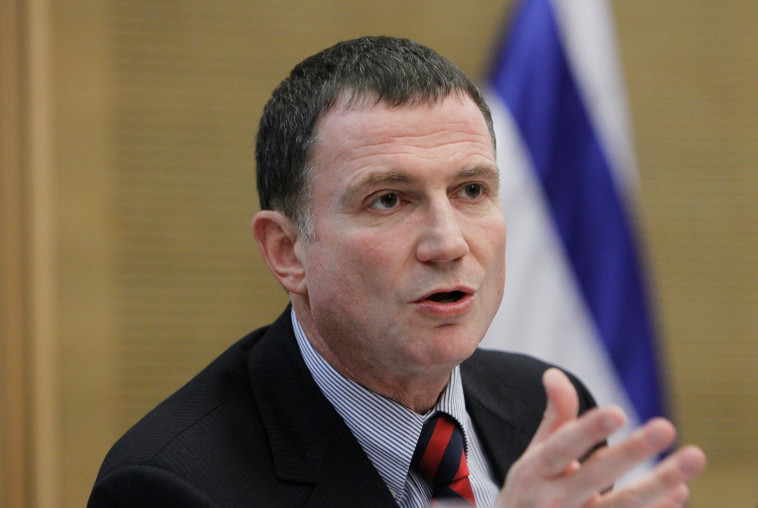 יולי אדלשטיין. צילום: פלאש 90