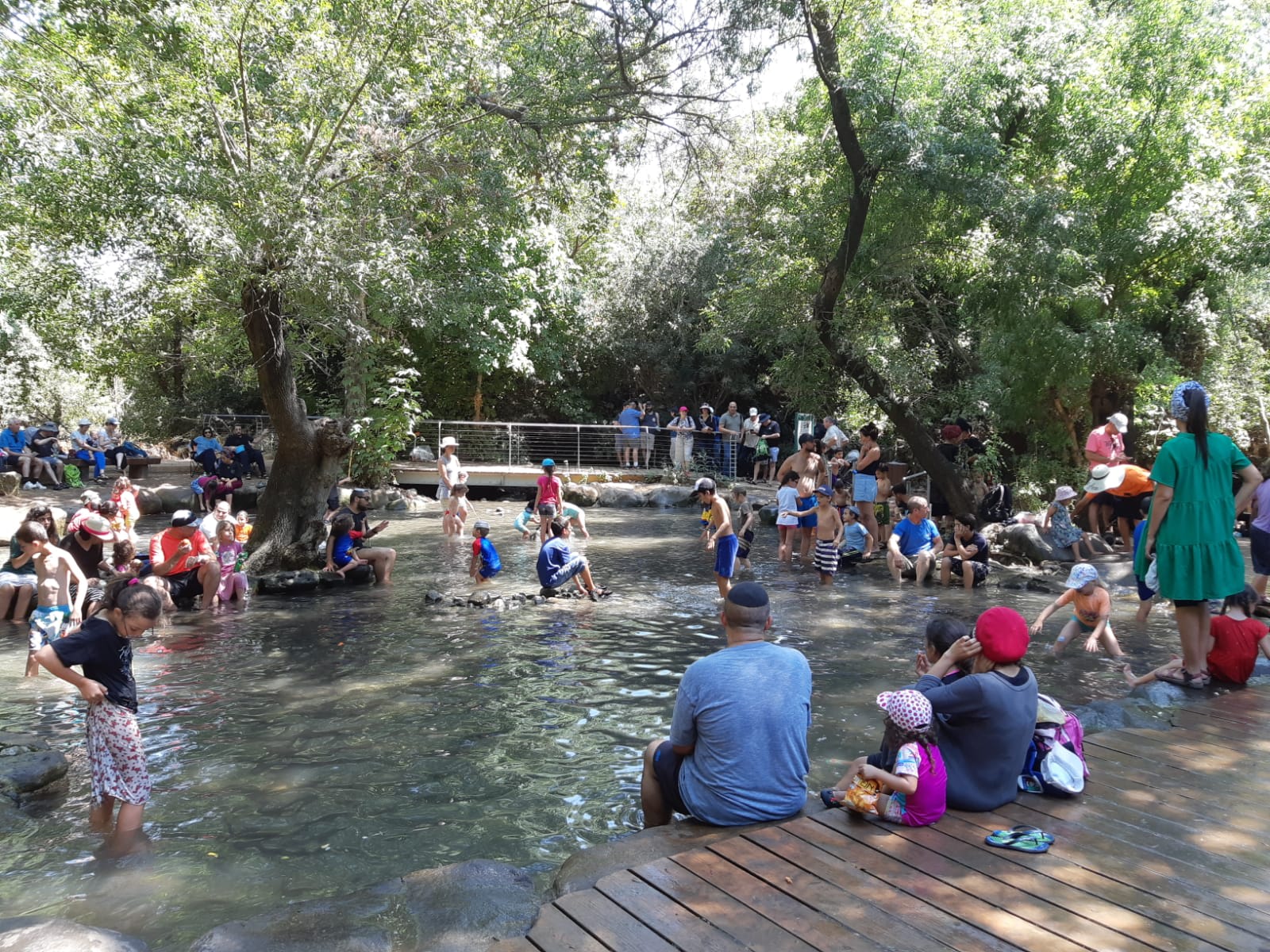 מטיילים בתל דן