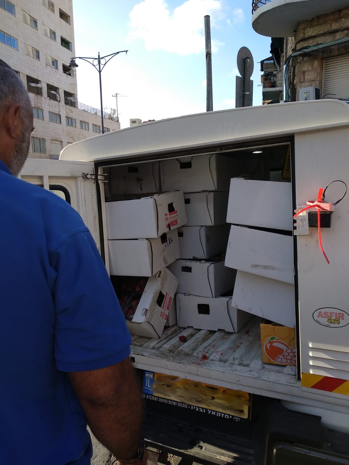 התותים המוברחים. צילום: משרד החקלאות