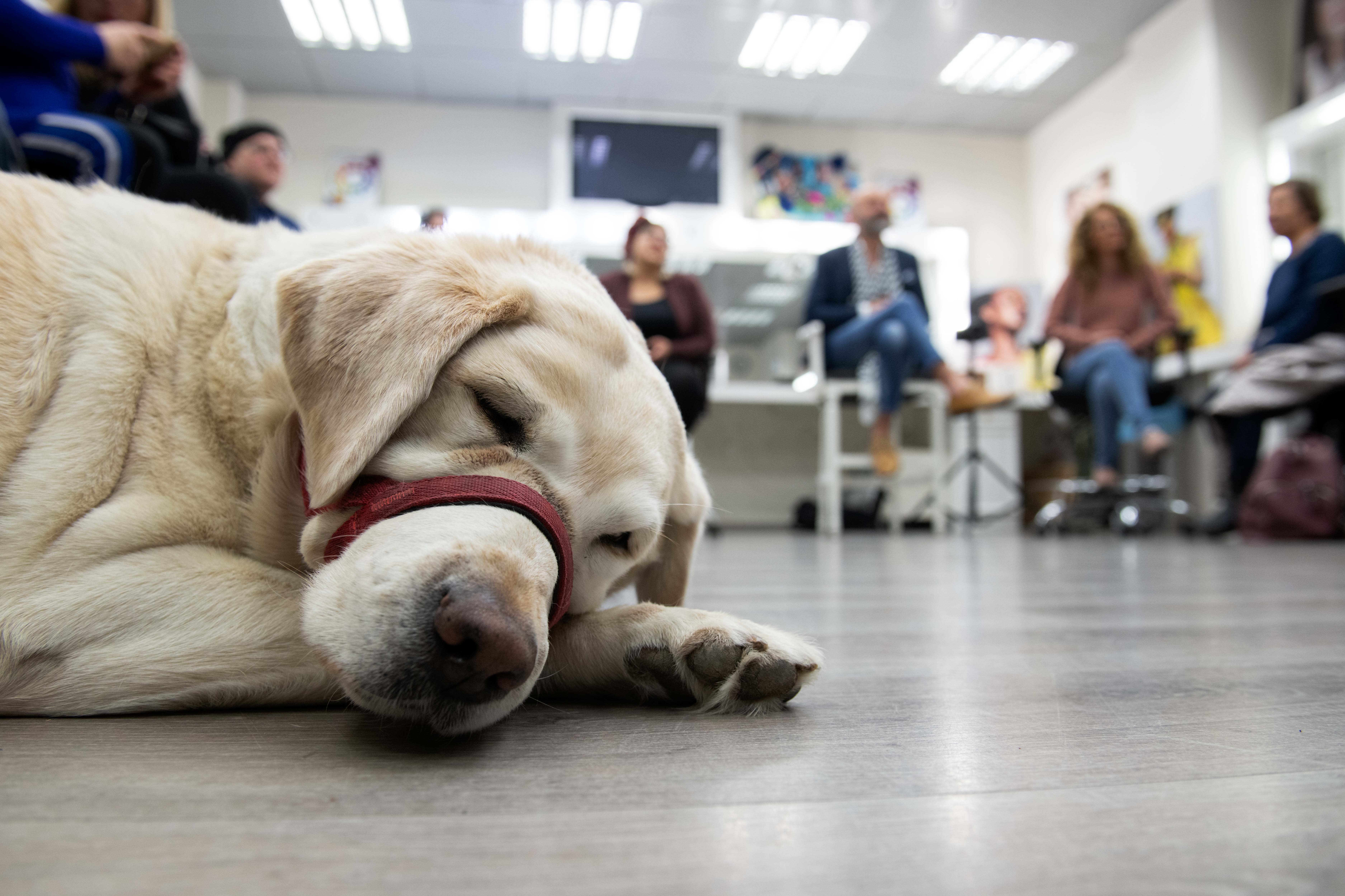קורס איפור ללקויות ראייה. צילום: שגיב גונן
