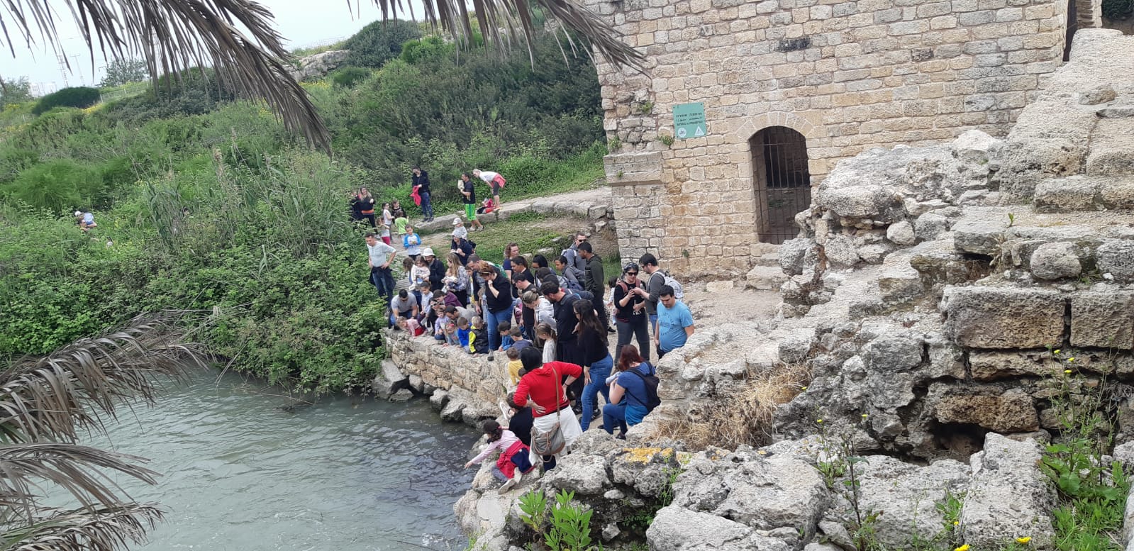 נחל תנינים. צילום: רשות הטבע והגנים