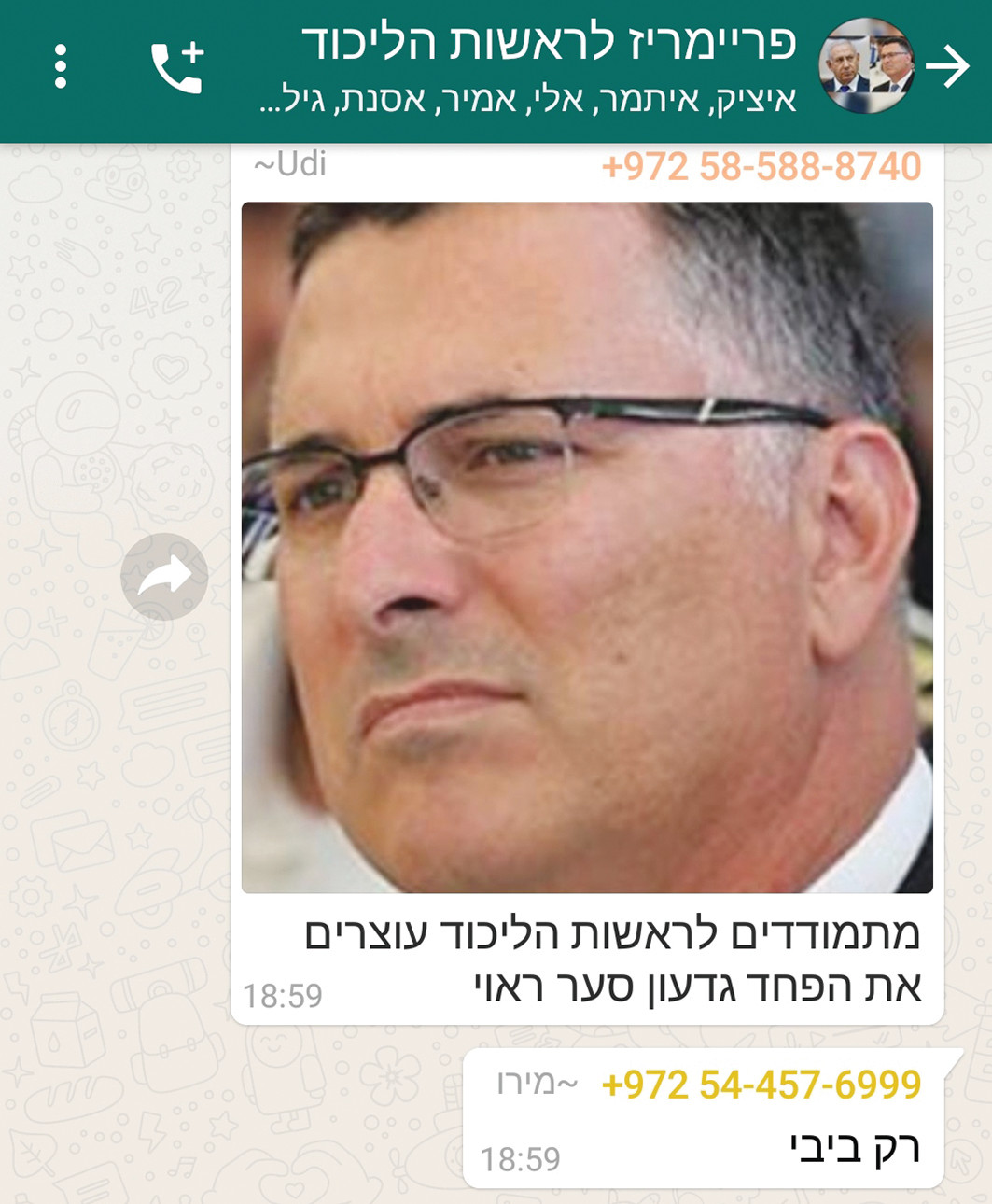 קבוצת הוואטסאפ הליכודית. צילום מסך