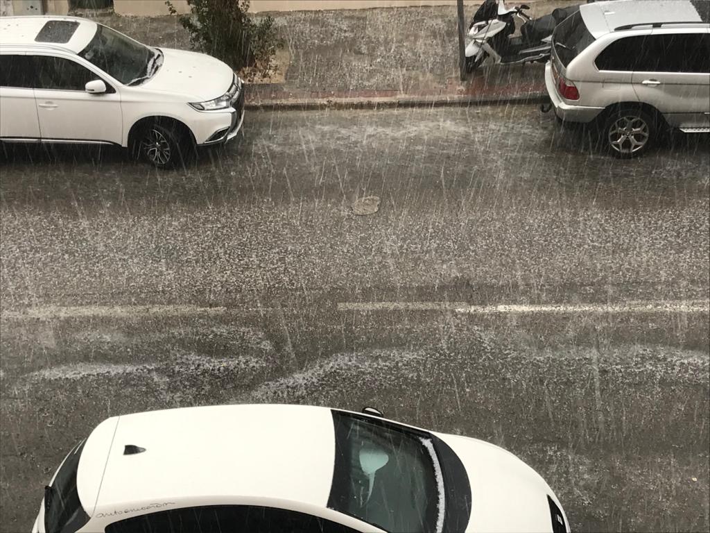 צילום: אבשלום ששוני