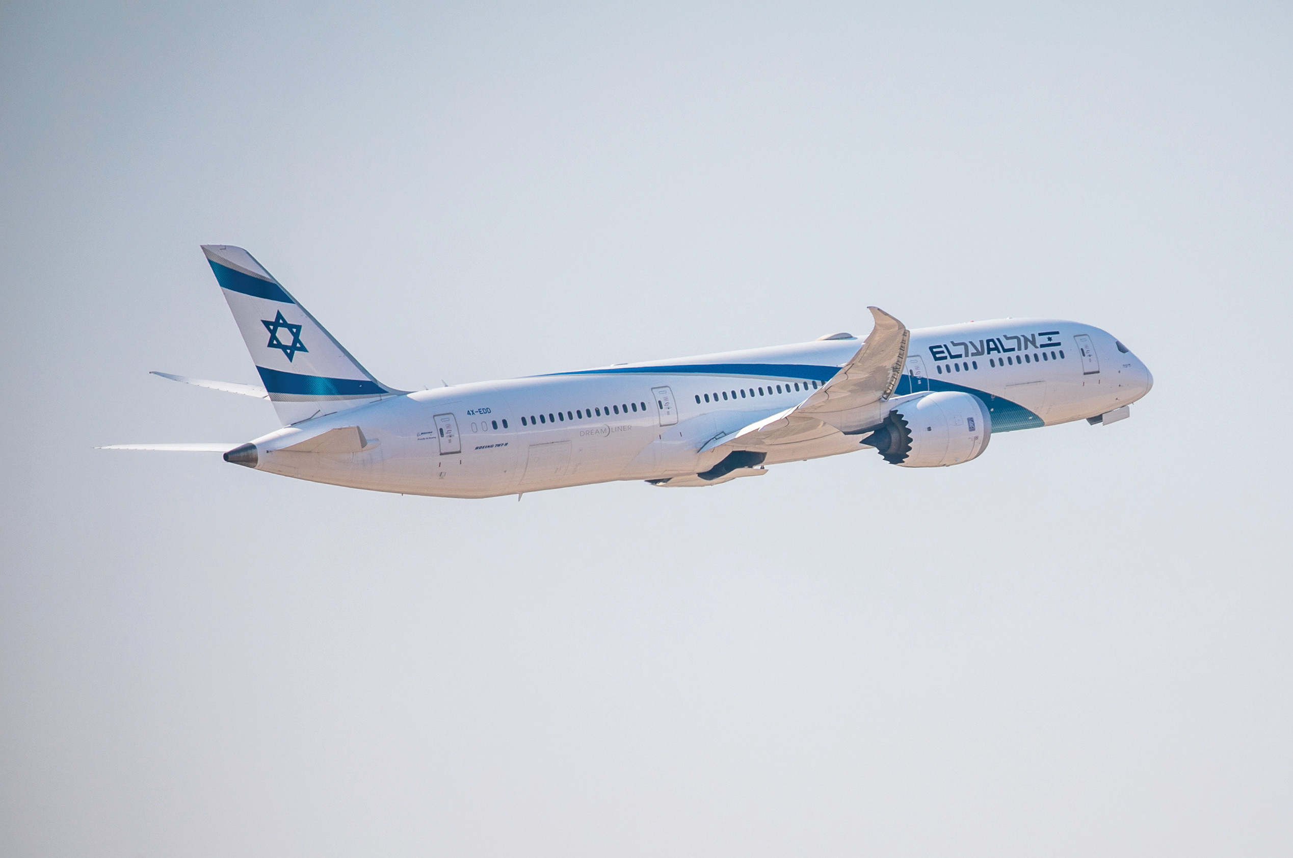 הושעה פקח הטיסה שכרז „תשוחרר פלסטין” במהלך טיסת אלעל | מעריב