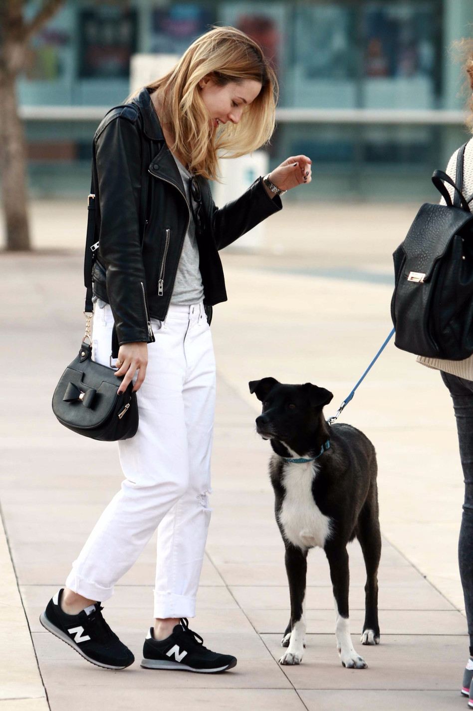 חברתם הטובה של בני האדם. אלונה טל