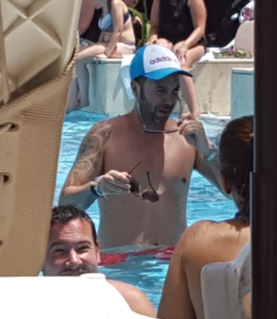 טרפת. נרקיס חכם בשמש