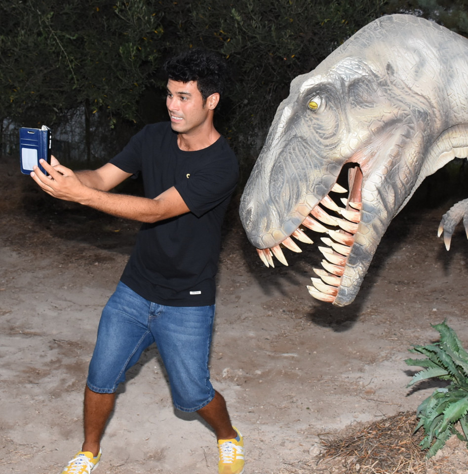 סלפיש. טל מוסרי וחבר