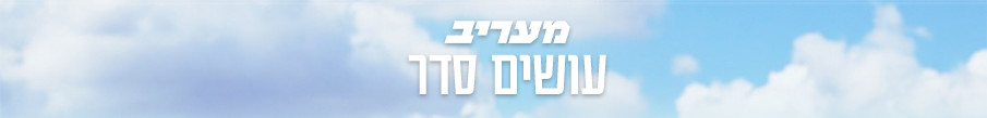 תמונת תגית 