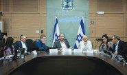 ועדת החוקה (צילום: חיים גולדברג)