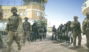 צלמון (צילום: באדיבות כאן 11)