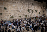 הכותל המערבי (צילום: יונתן זינדל, פלאש 90)