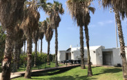 פארק הירקון (צילום: אבשלום ששוני)