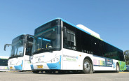 אוטובוסים חשמליים של אלקטרה אפיקים (צילום: ג'ינרג'י)