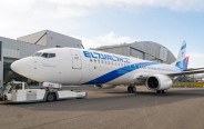 הצבעים החדשים של אל על. עדכון הדגל על זנב המטוס (צילום: אל על)