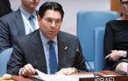 דני דנון בדיון במועצת הביטחון של האו"ם (צילום: Evan Schneider/un photo)