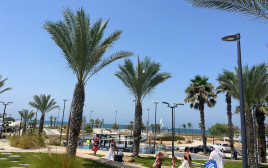 חוף דלילה (צילום: פלד ארבלי)