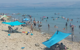 נופשים בכנרת, גל חום (צילום: צילום: נועה אלפנדרי, איגוד ערים כינרת)