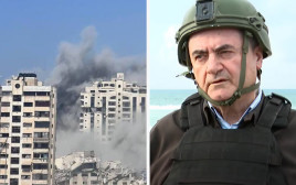 ישראל כ"ץ (צילום: צילום מסך,רשתות הערביות)