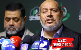 חליל אל חייה (צילום: רויטרס)