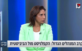 סמדר מורס  (צילום: צילום מסך רשת 13)