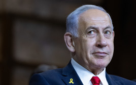 בנימין נתניהו (צילום: חיים גולדברג, פלאש 90)
