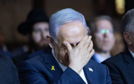 בנימין נתניהו (צילום: חיים גולדברג, פלאש 90)