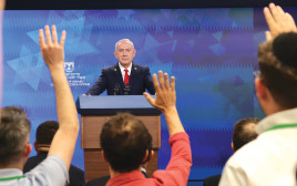 בנימין נתניהו (צילום: מרק ישראל סלם, פול)