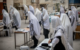 תפילות (צילום: יונתן זינדל פלאש 90)