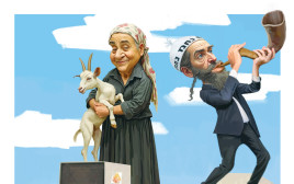 שיפודים (צילום: איור: אופיר בגון)