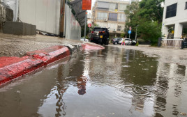 גשם (צילום: אבשלום ששוני)