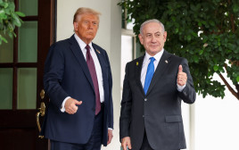 בנימין נתניהו, דונלד טראמפ (צילום: REUTERS/Kevin Lamarque)