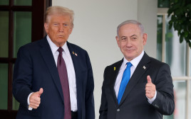 דונלד טראמפ, בנימין נתניהו (צילום: REUTERS/Jonathan Ernst)