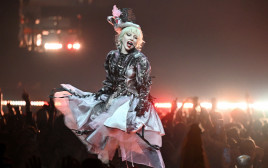 ליידי גאגא (צילום: Samir Hussein/Getty Images for Live Nation)