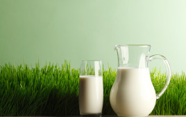 חלב (צילום: אינגאימג')