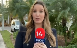 ליבי אלון (צילום: צילום מסך ערוץ 14)