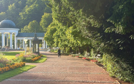 גינות המלון (צילום: מיטל שרעבי)