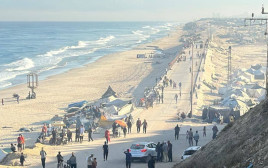 רצועת עזה  (צילום: רשתות ערביות)