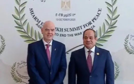  (צילום: צילום מסך, .)